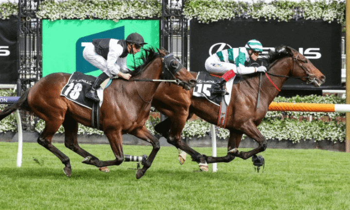 The Evolution of Horse Racing: Past, Present, and Future