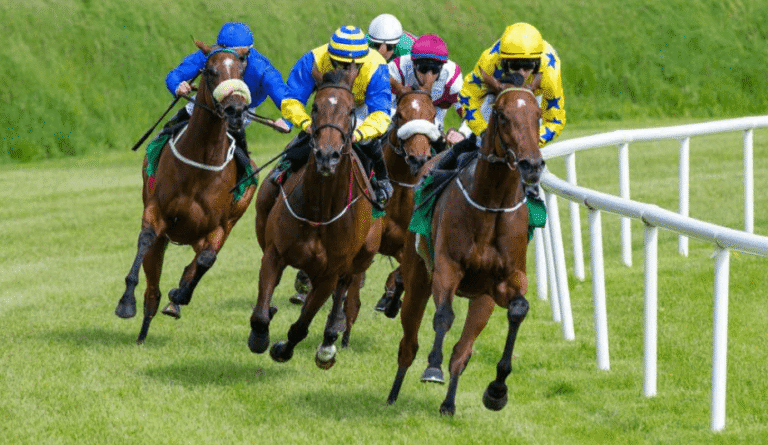 Horse Racing: A Sport for the Ages