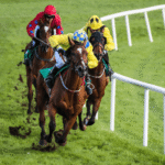 How to Choose the Right Horse for Racing