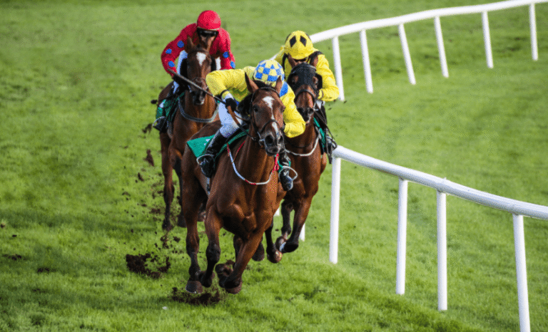 How to Choose the Right Horse for Racing