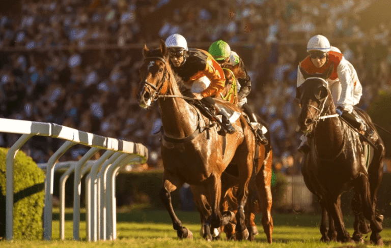Understanding Horse Racing Form Guides: A Step-by-Step Guide