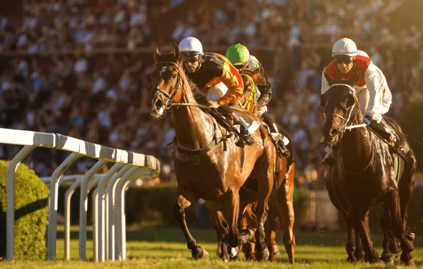 Understanding Horse Racing Form Guides: A Step-by-Step Guide